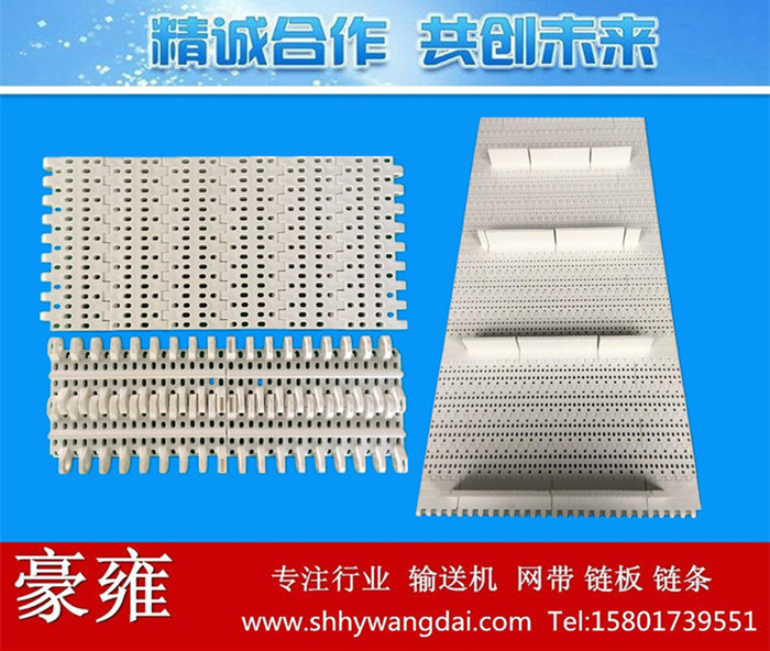 800圆孔型塑料网带