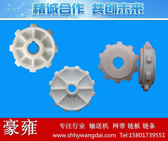 OPB网带链轮注塑式/机加工式