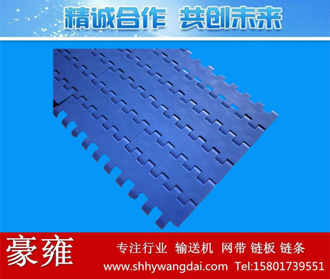 1005平板式塑料网带