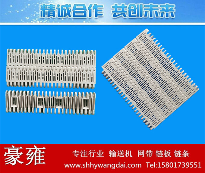 5996平格型塑料模块网带链