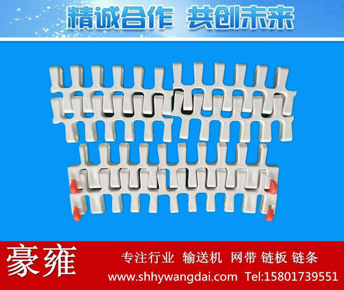 300转弯塑料网带链