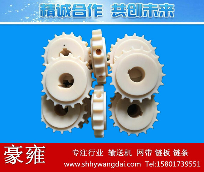 1005系列网带链轮